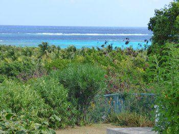 Milly'S Inn Shoal Bay Village Exterior foto
